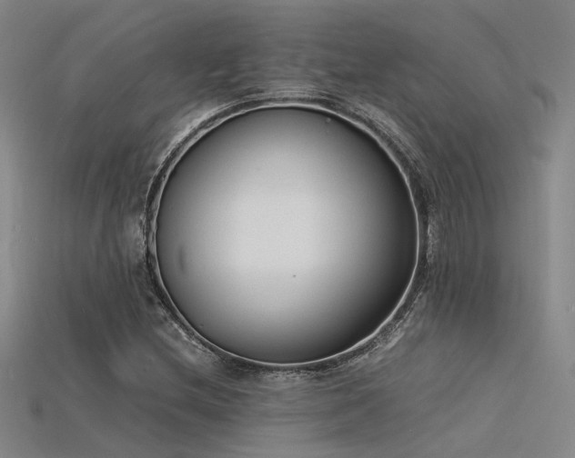 X0000115841212200911131524