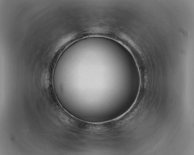 X0000115841213200911131524