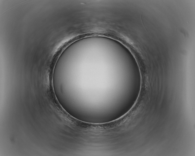 X0000115841214200911131524