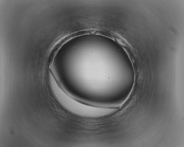 X0000115841215200911131524
