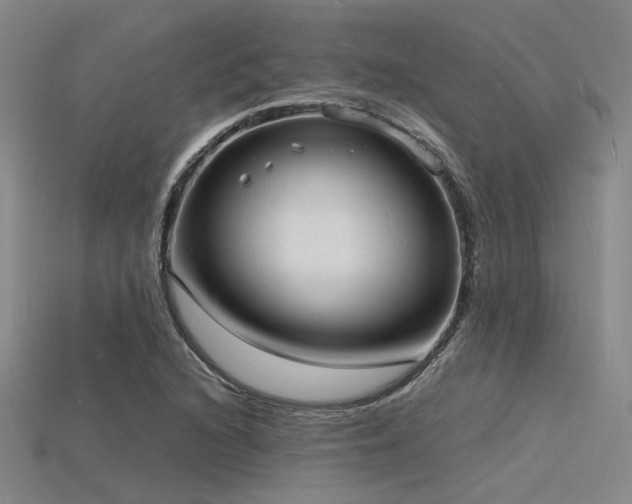 X0000115841216200911131524