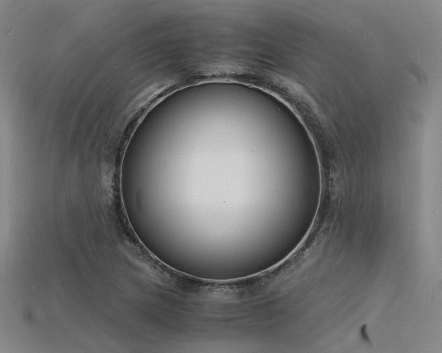 X0000115841217200911131524