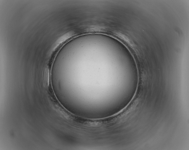 X0000115841219200911131524