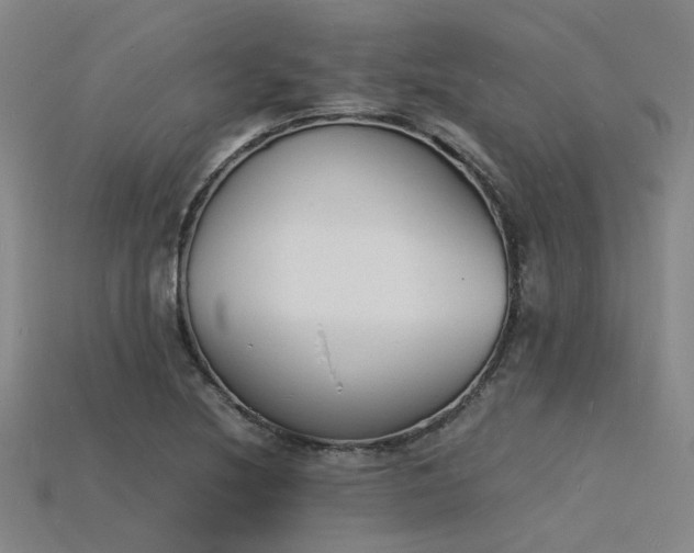 X0000115841220200911131524