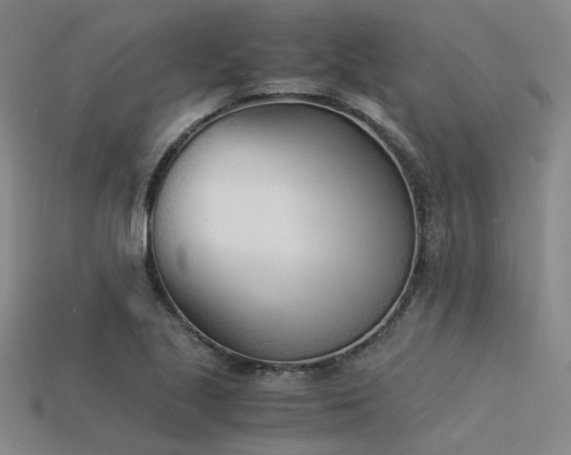 X0000115841221200911131524