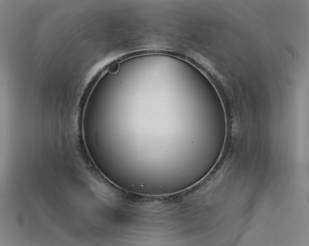 X0000115841222200911131524
