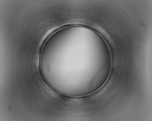 X0000115841224200911131524