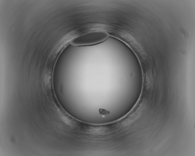 X0000115841225200911131524