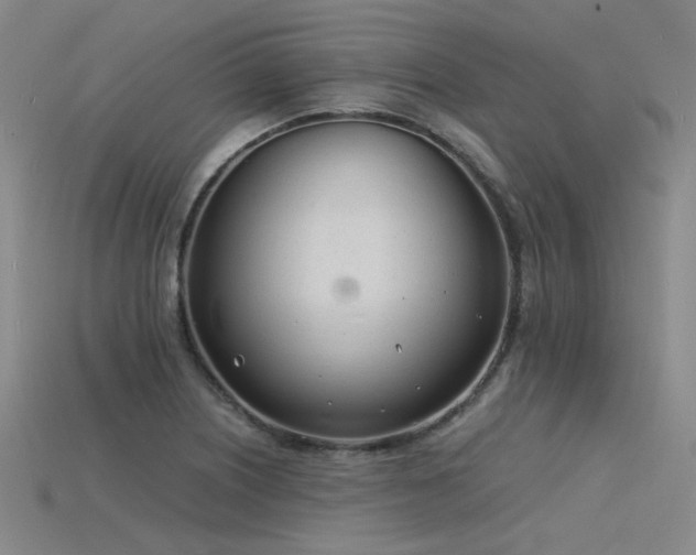 X0000115841226200911131524