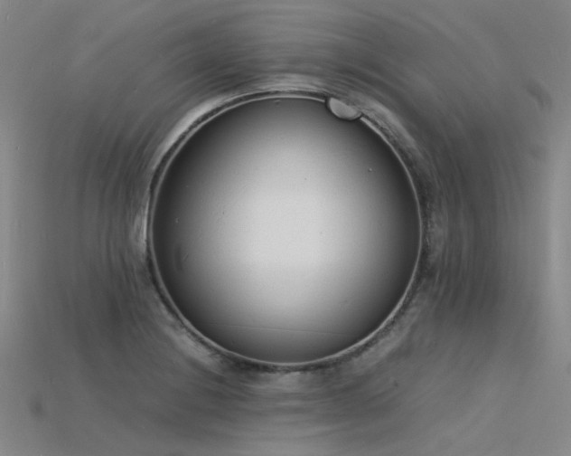X0000115841228200911131524