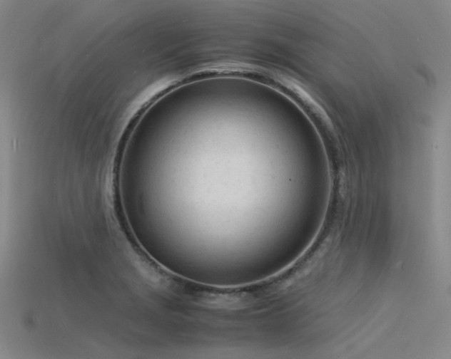 X0000115841229200911131524