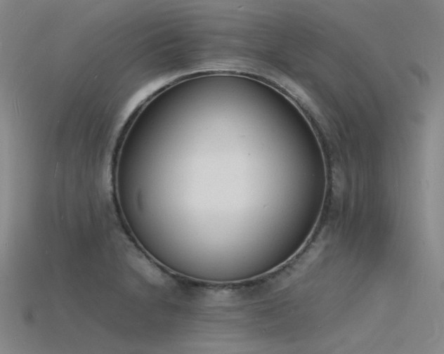 X0000115841230200911131524