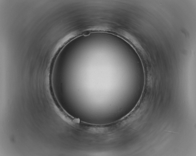 X0000115841237200911131524