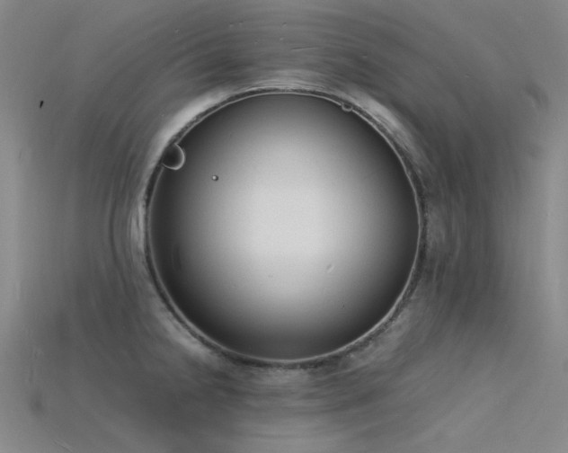 X0000115841238200911131524