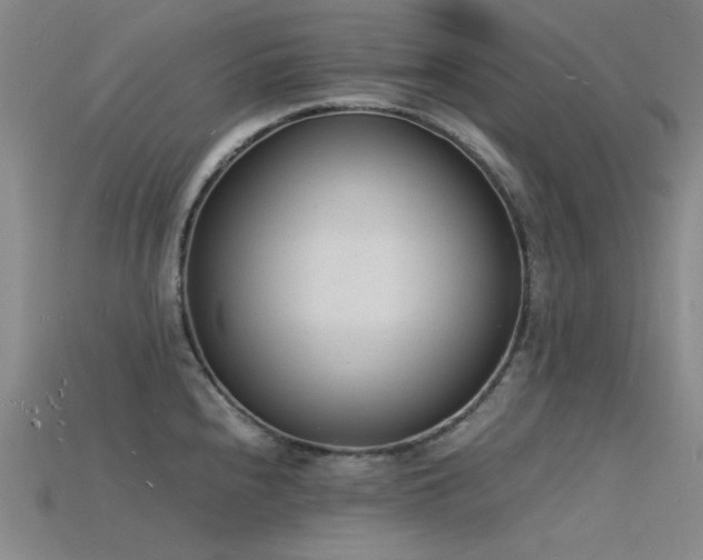 X0000115841240200911131524