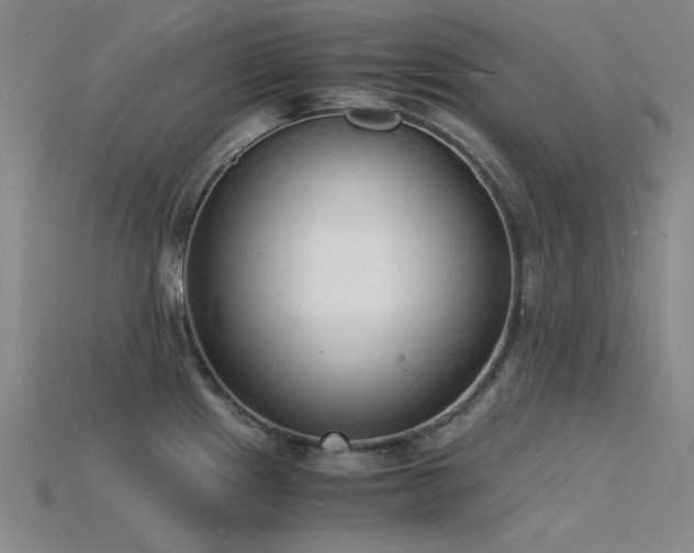 X0000115841241200911131524
