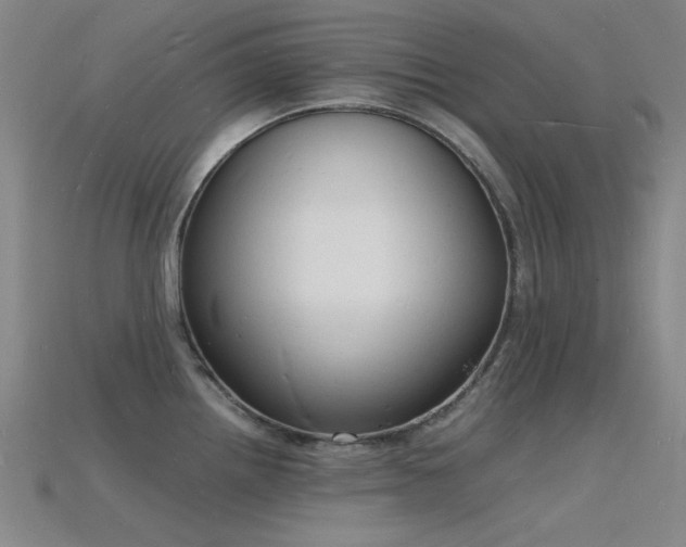 X0000115841242200911131524