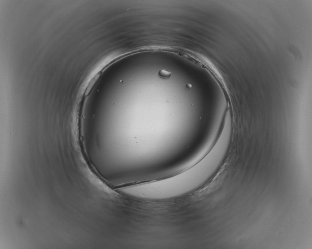 X0000115841243200911131524