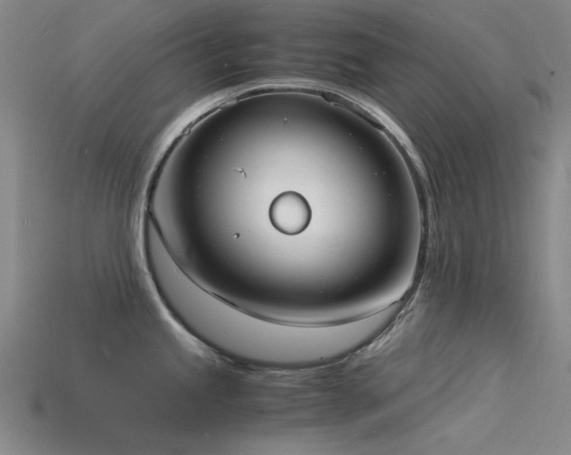 X0000115841245200911131524