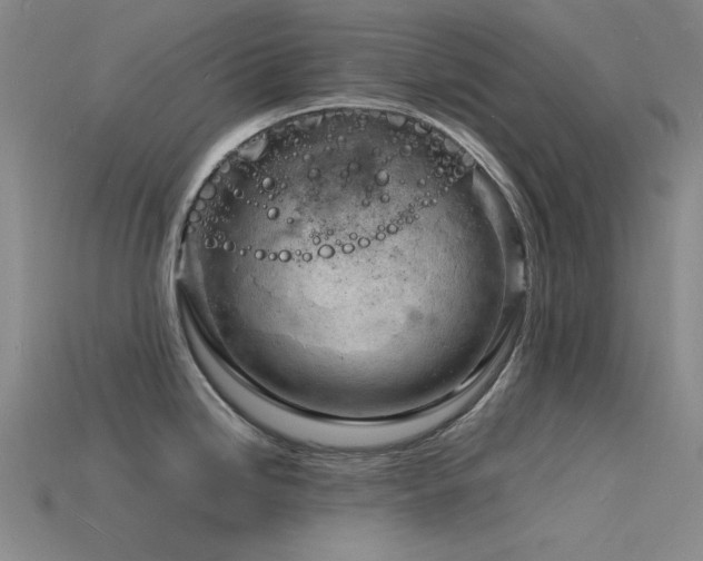 X0000115841246200911131524