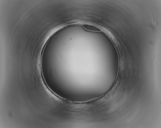 X0000115841247200911131524