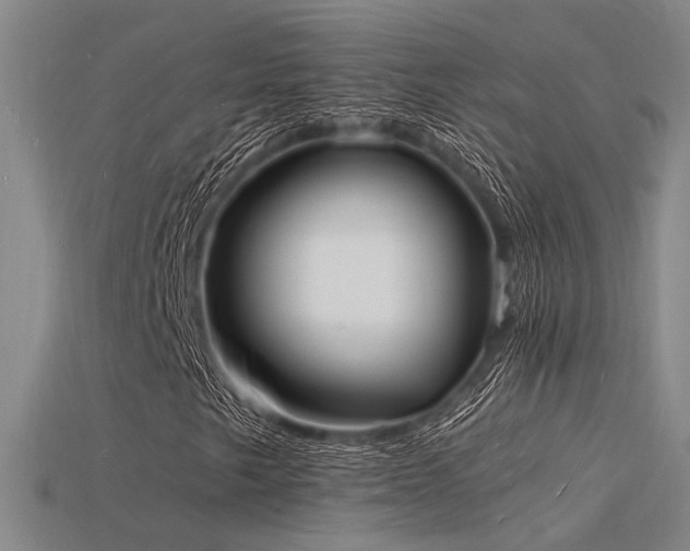 X0000115841249200911131524