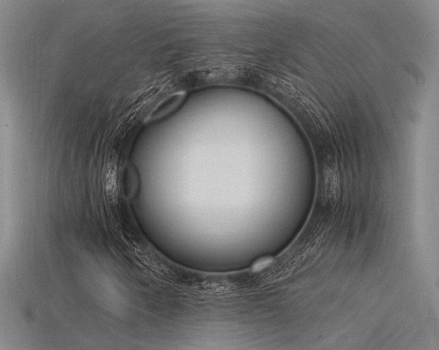X0000115841250200911131524