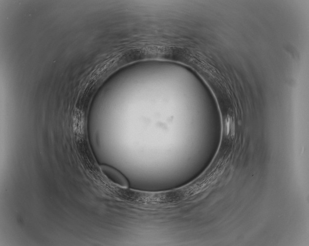 X0000115841251200911131524