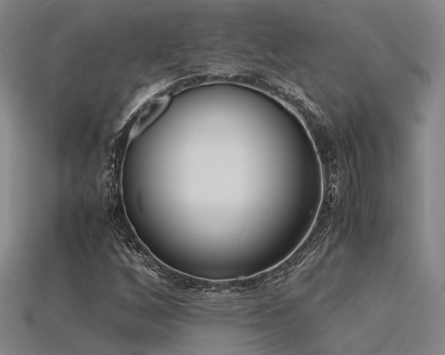 X0000115841256200911131524