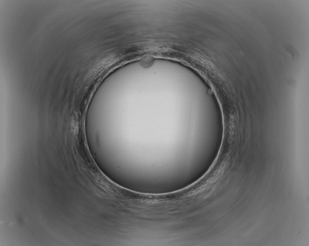 X0000115841257200911131524