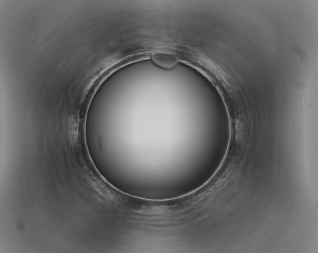 X0000115841260200911131524