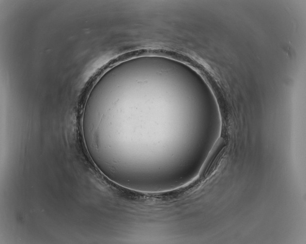 X0000115841263200911131524