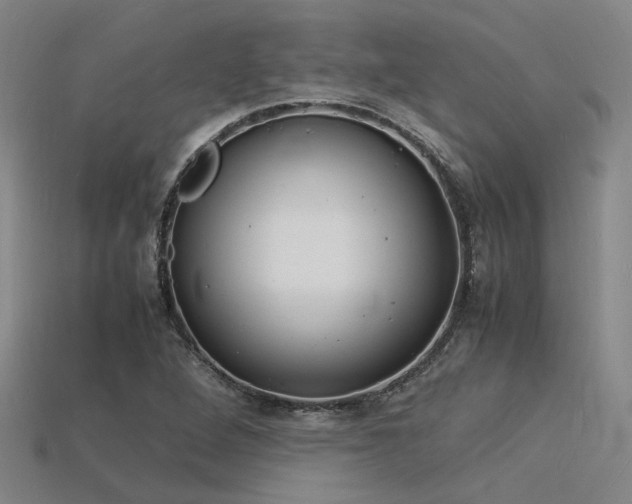 X0000115841264200911131523