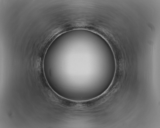 X0000115841265200911131523