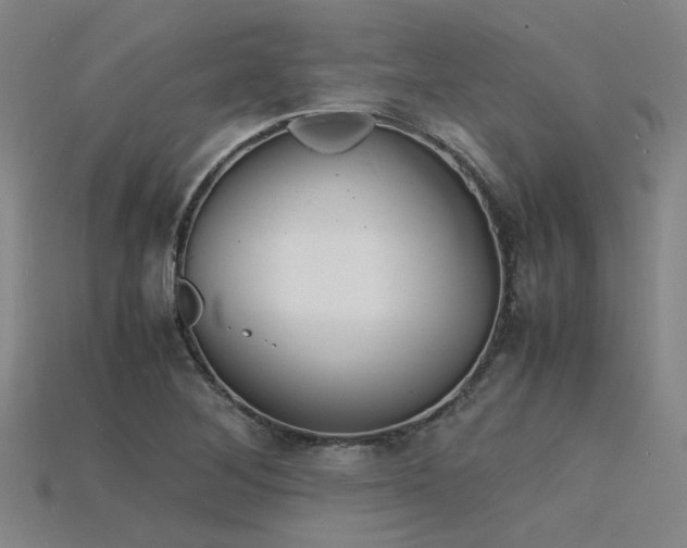 X0000115841268200911131523