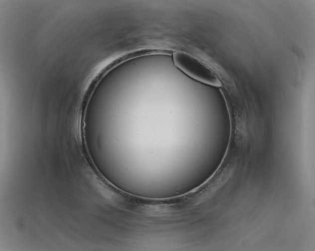 X0000115841272200911131523