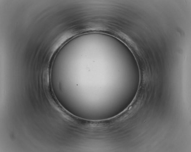 X0000115841274200911131523