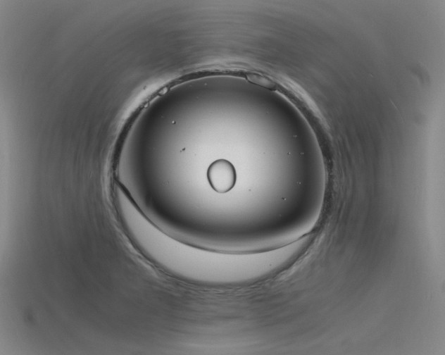 X0000115841277200911131523