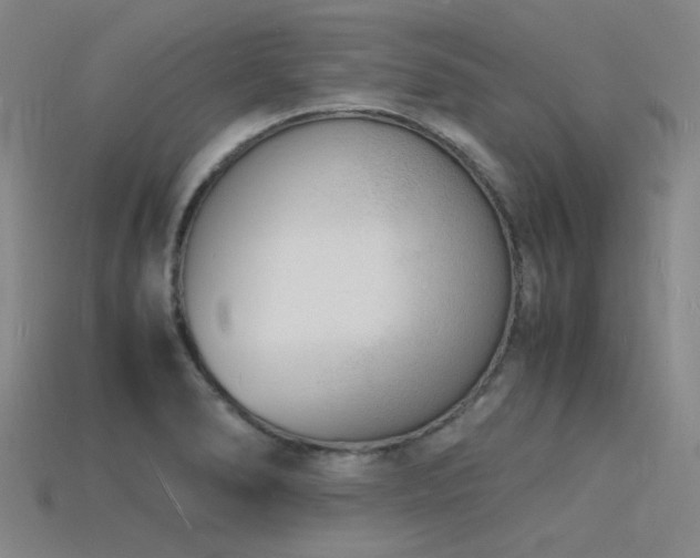 X0000115841278200911131523