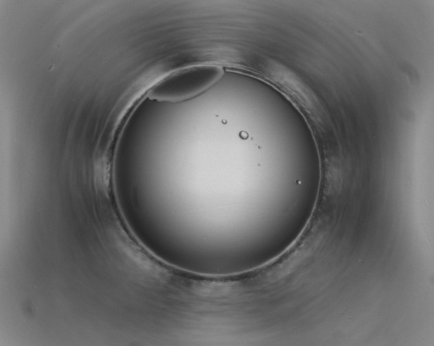 X0000115841284200911131523