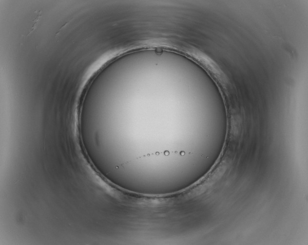 X0000115841286200911131523
