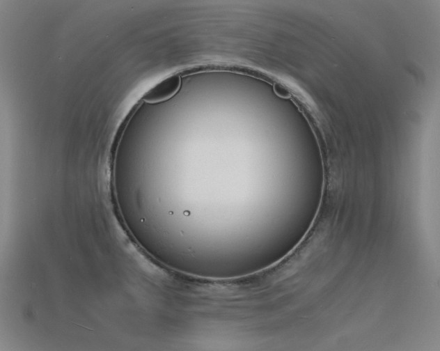 X0000115841287200911131523