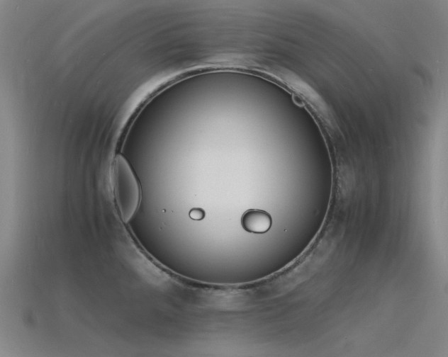 X0000115841288200911131523