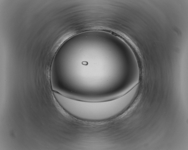X0000115841289200911131523