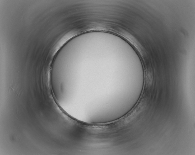 X0000115841290200911131523