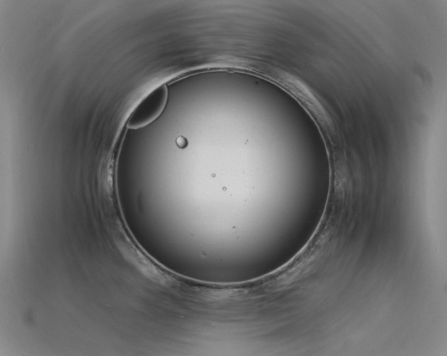 X0000115841292200911131523