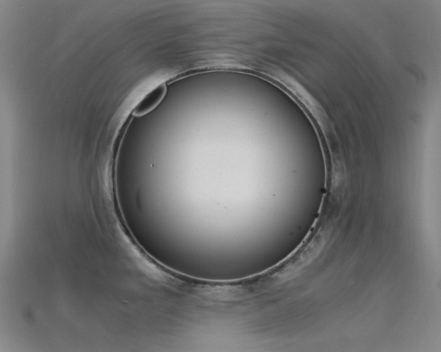 X0000115841293200911131523