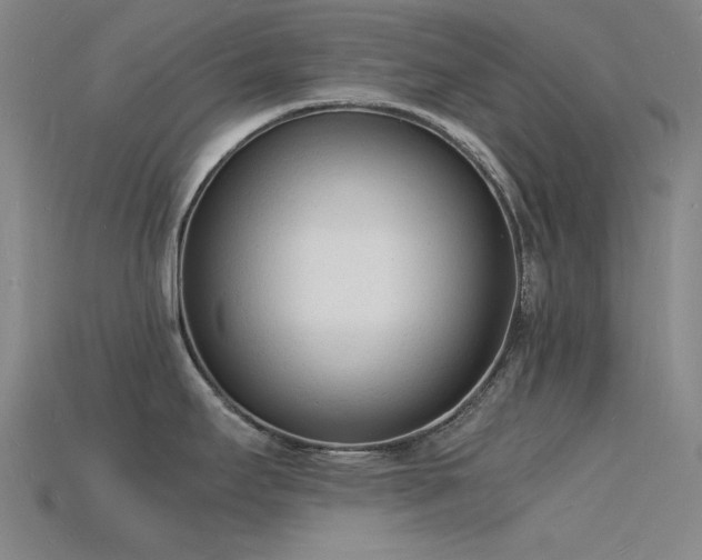 X0000115841295200911131523