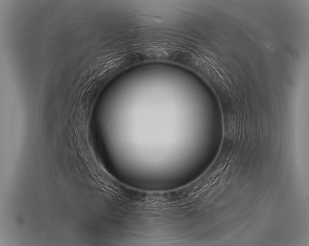 X0000115841297200911131522