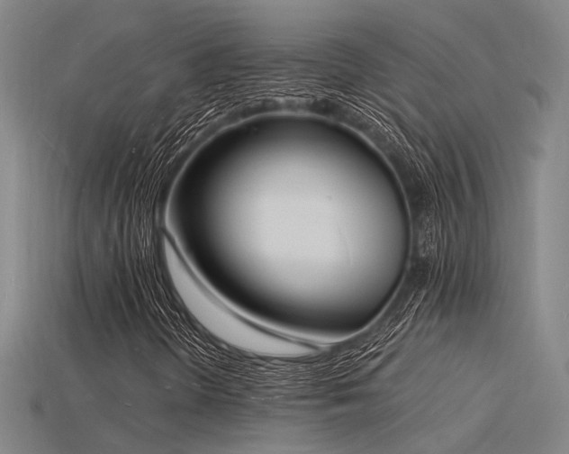 X0000115841298200911131522